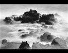 dailyPhoto7